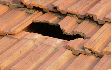 roof repair Dalmore