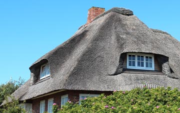 thatch roofing Dalmore
